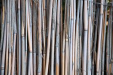Bamboo Fence Royalty Free Stock Photo Bamboo Fence Royalty Free Stock Photo