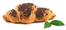 Chocolate Croissant Royalty Free Stock Image Chocolate Croissant Royalty Free Stock Image