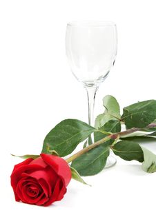 Red Rose And A Glass Cup Royalty Free Stock Photography
