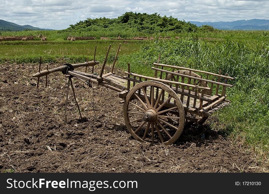 An empty bullock cart in a rice field in Burma