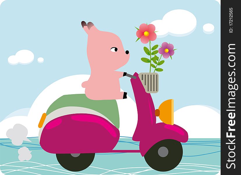 Pig On A Bike