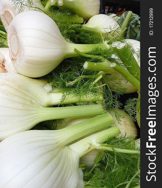 Fennel with foliage at the greengrocer. Fennel with foliage at the greengrocer