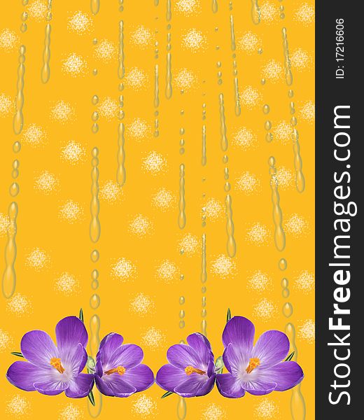 Background of fantasy with drops of water nosegay of flowers. Background of fantasy with drops of water nosegay of flowers