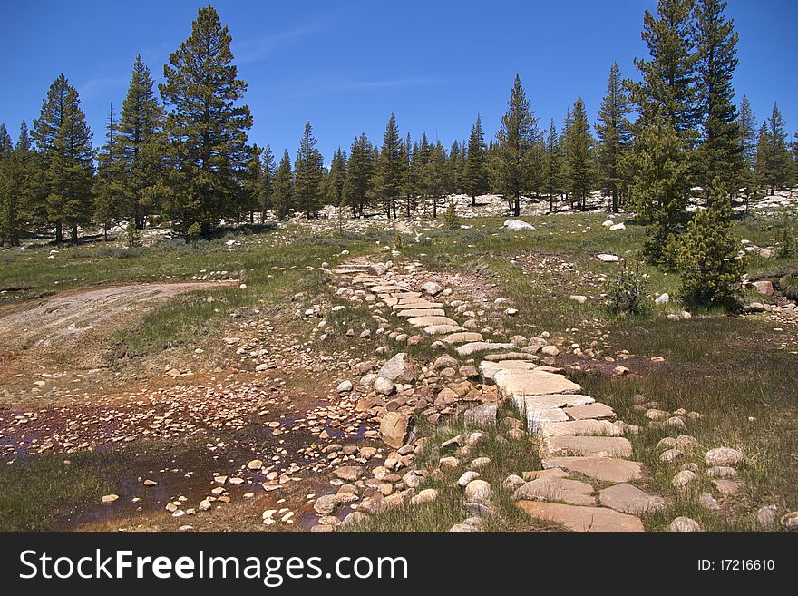 Trail through Soda Springs, where naturally carbonated cold water is bubbling out of the ground, Yosemite National Park, CA