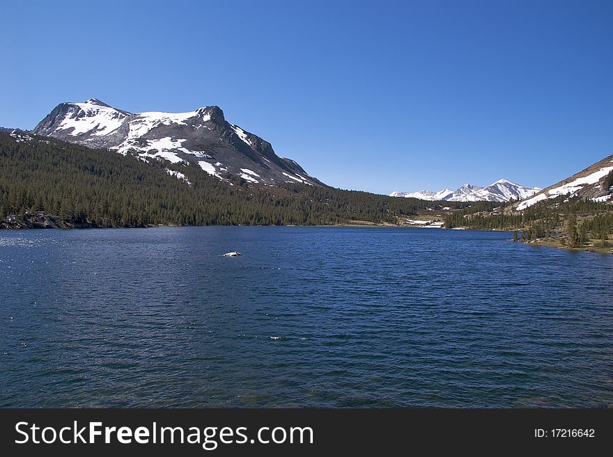 Alpine lake along the Tioga Pass Road, Yosemite National Park