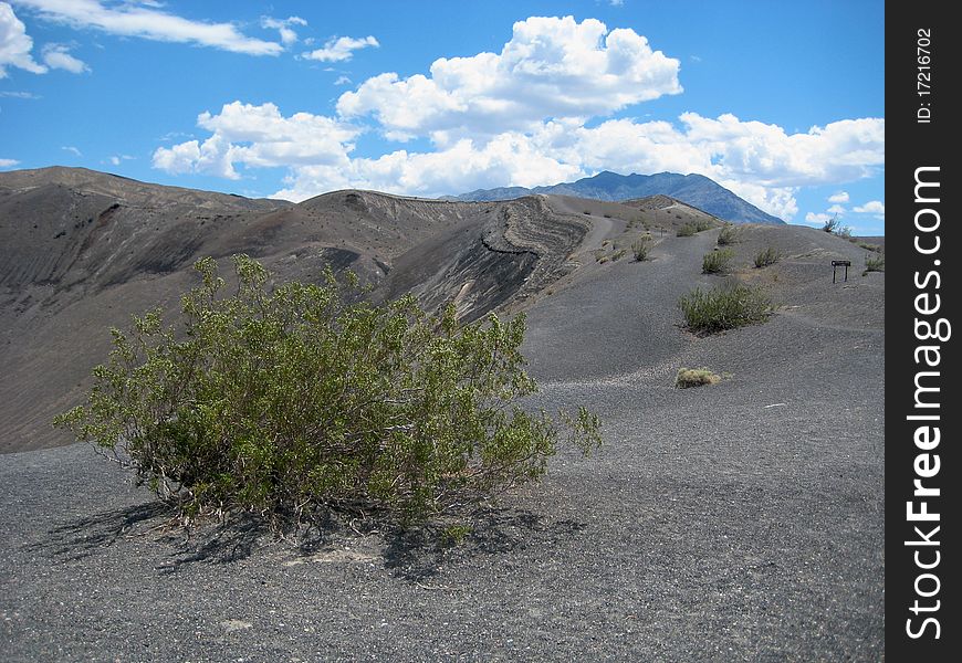 Scattered shrubs on the rim of the Ubehebe Crater, Death Valley National Park. Scattered shrubs on the rim of the Ubehebe Crater, Death Valley National Park