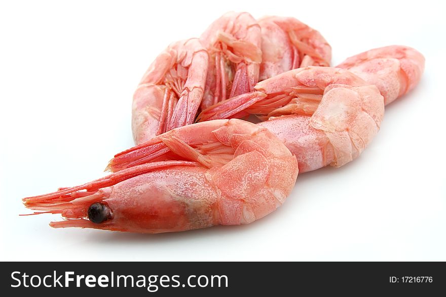 Shrimps on a white background