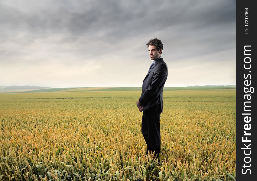 Young businessman standing on a wheat field. Young businessman standing on a wheat field