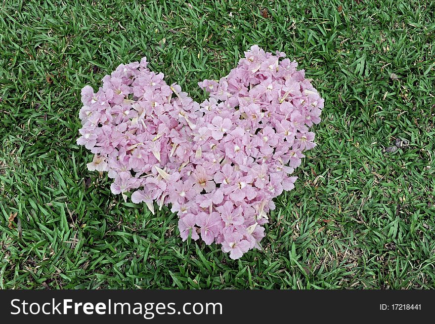 The beautiful Flower heart in lawn.