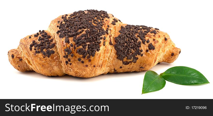 Studio shot of chocolate croissant isoalted on white background