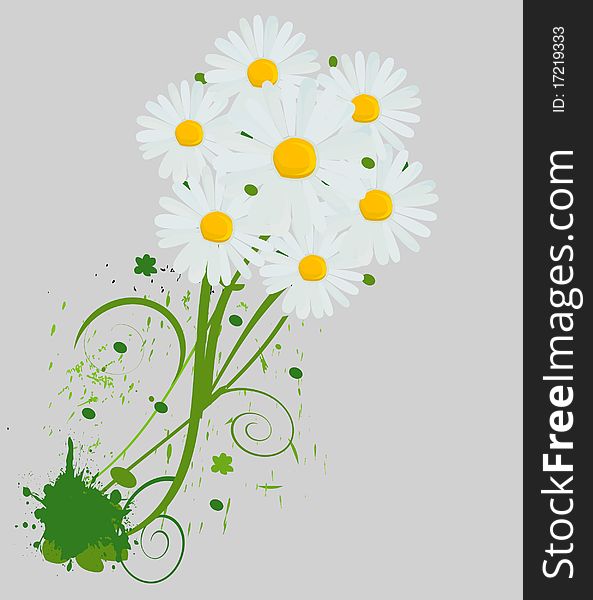 Beautiful camomile bright bouquet background