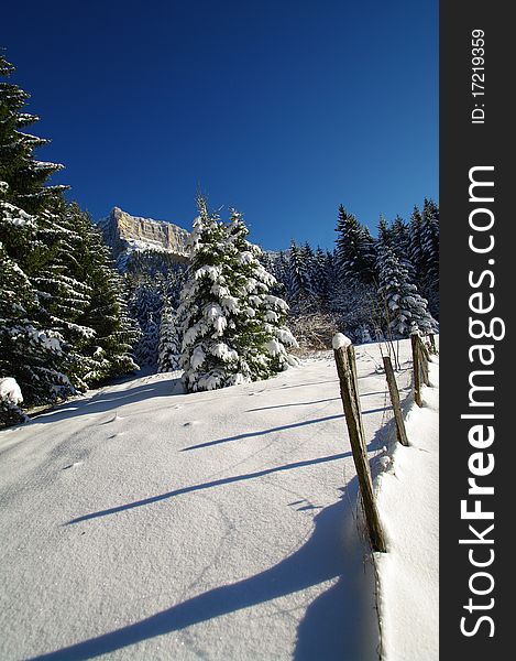 Hike on snow in chartreuse park in french alps