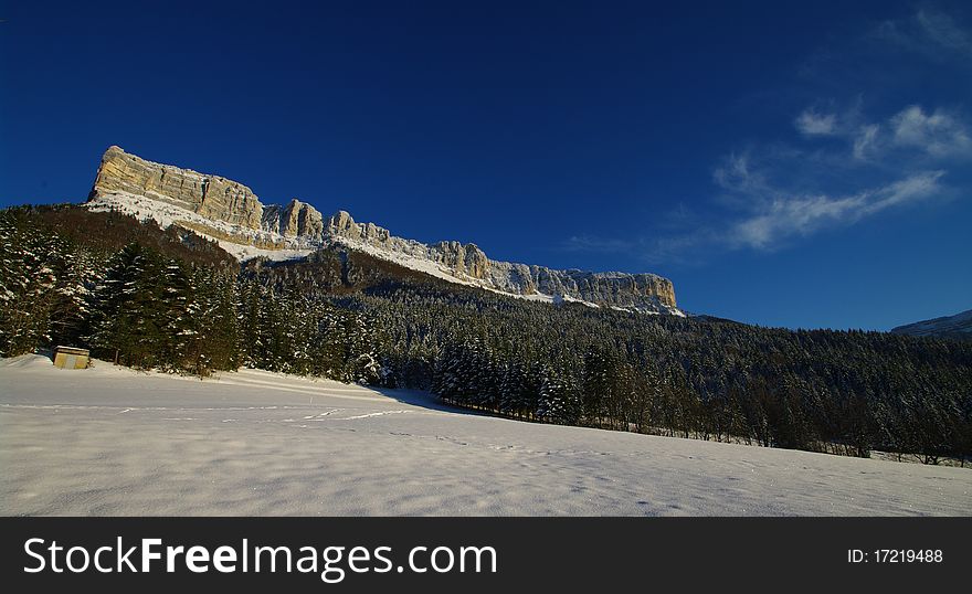 Chartreuse park covered with the first snow in french alps
