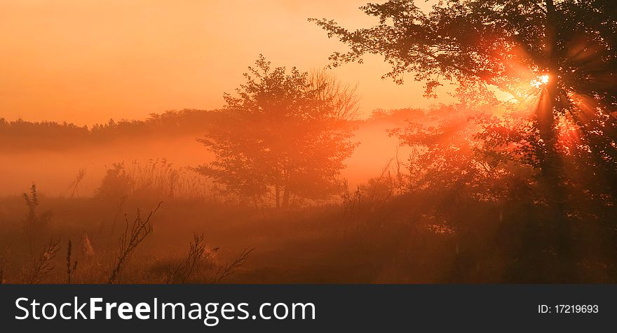 The first rays of the rising sun pass through the fog in a field near the lake on a spring morning. The first rays of the rising sun pass through the fog in a field near the lake on a spring morning