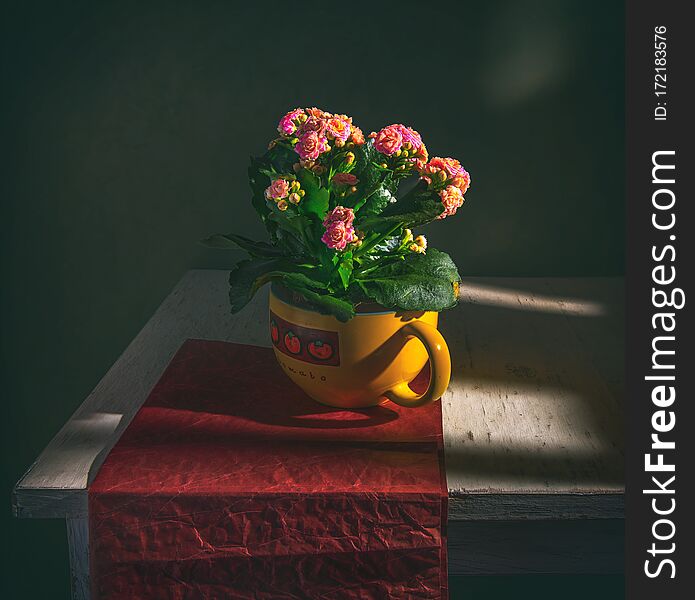 Still Life With Kalanchoe Flowers In A Large Ceramic Bowl On Red Paper.