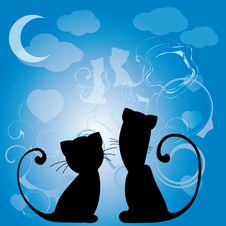 Cats Love Royalty Free Stock Photos Cats Love Royalty Free Stock Photos