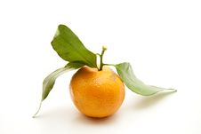 Tangerine With Leaf Royalty Free Stock Photography Tangerine With Leaf Royalty Free Stock Photography