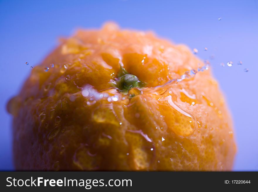 Water drop under the mandarin. Water drop under the mandarin