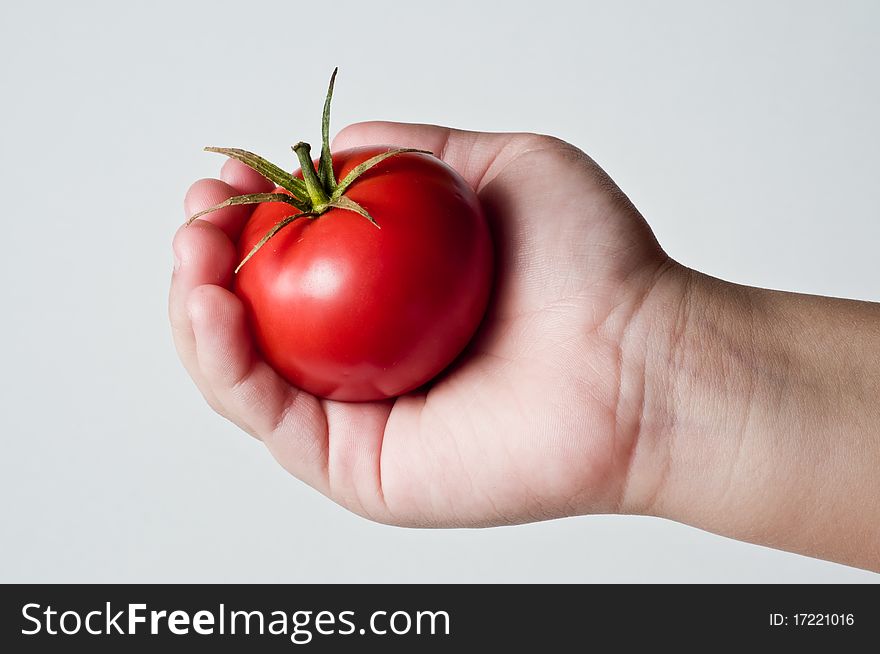 Photo of a childs Hand grabing and holding a Tomato. Photo of a childs Hand grabing and holding a Tomato