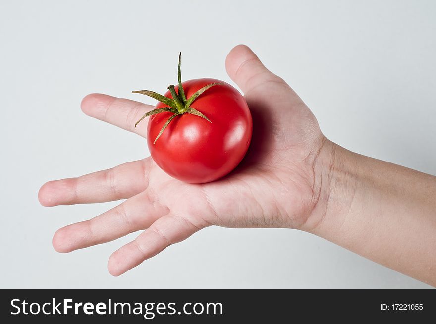 Photo of a childs palm holding a Tomato. Photo of a childs palm holding a Tomato