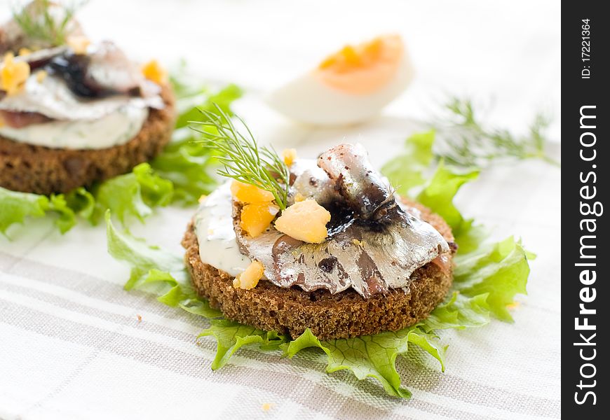 Anchovy canapes garnished with dill and yolk. Anchovy canapes garnished with dill and yolk