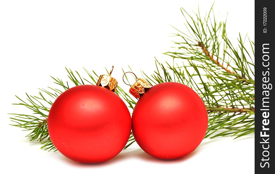 Christmas balls on green spruce branch
