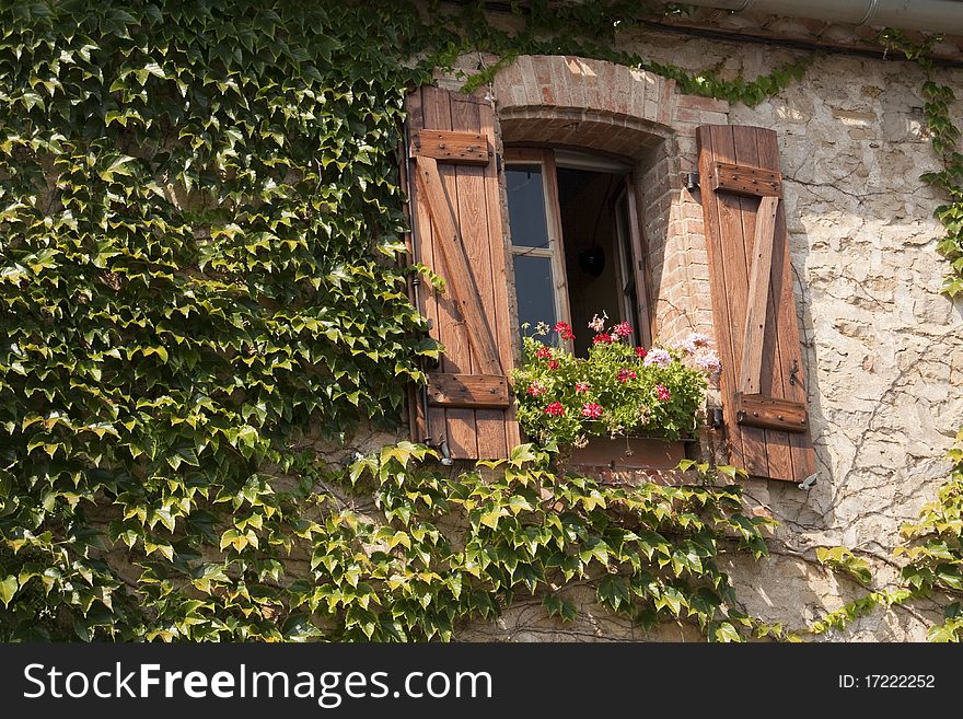 Window of wood with vine