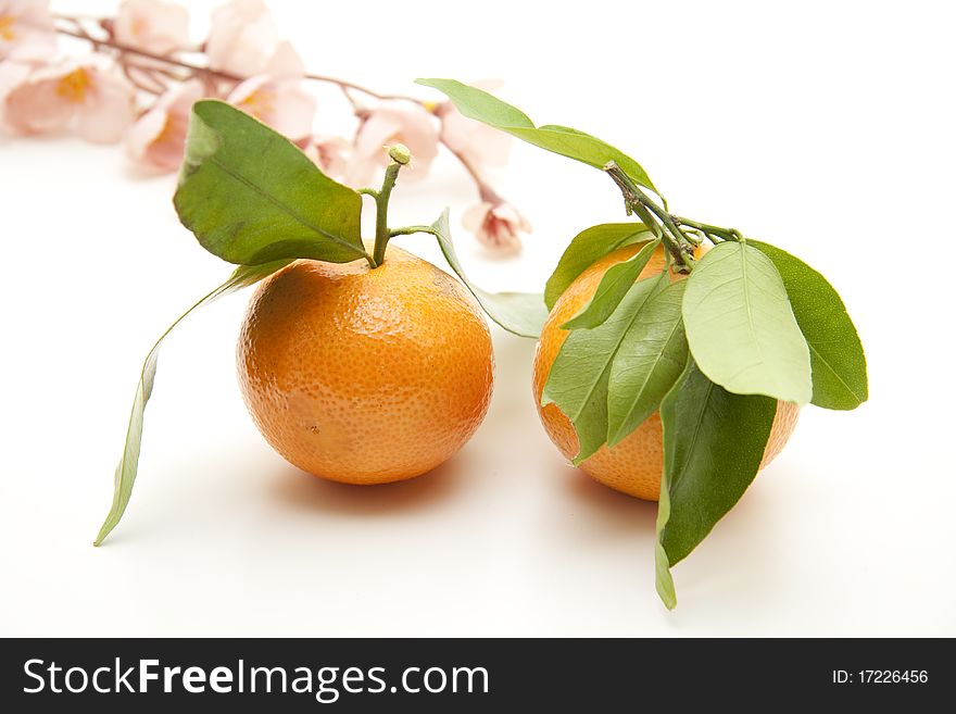 Tangerines and leaves with flower