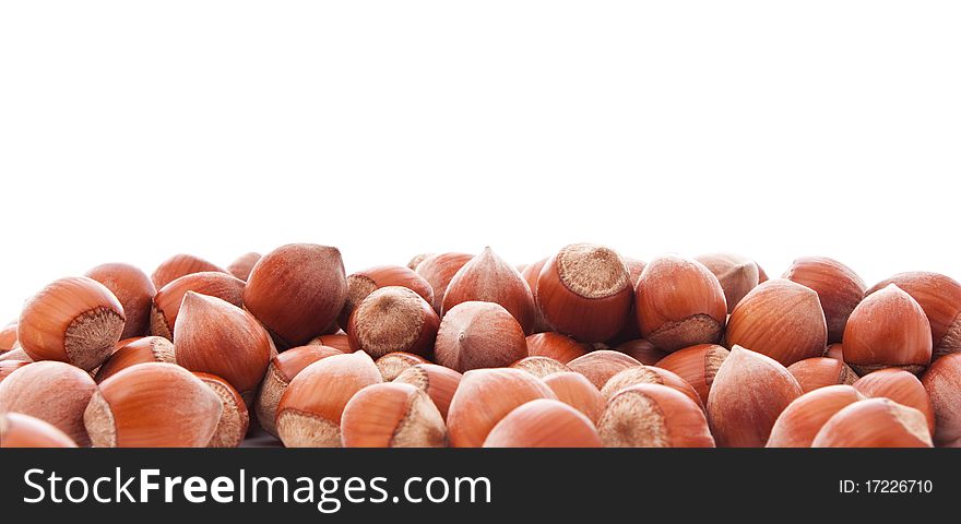 Close up shot of hazelnuts isolated on white
