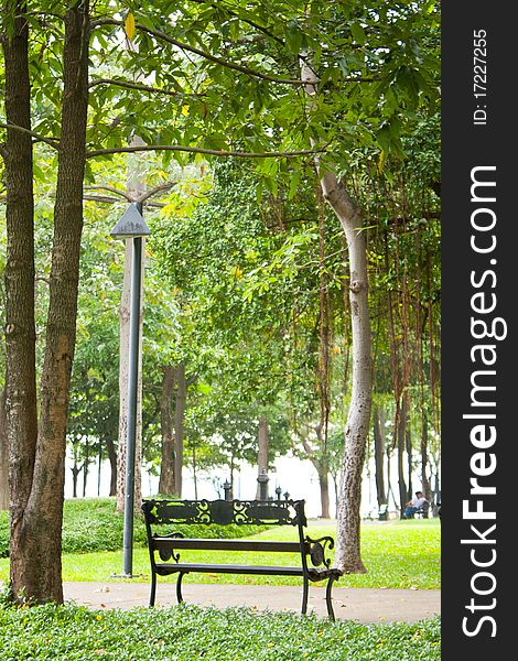 Bench in the park. Recreational area general nature.