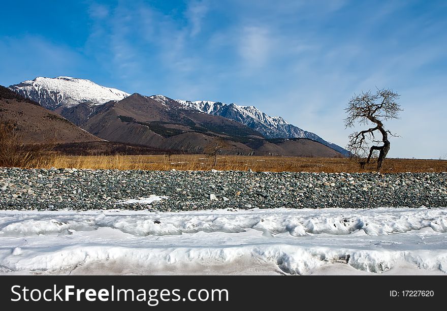 Baikal, cape Dug in winter with a type on mountains and a tree