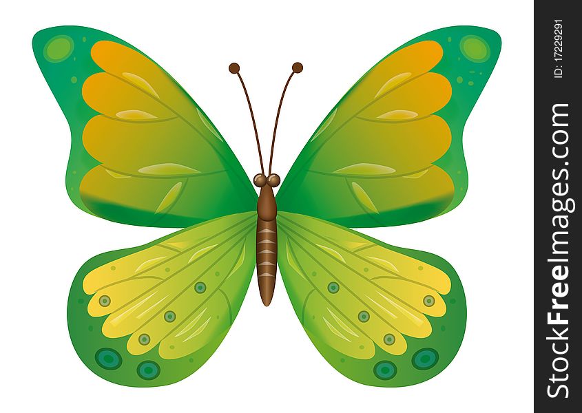 A Green Butterfly Isolated.  EPS10 Vector