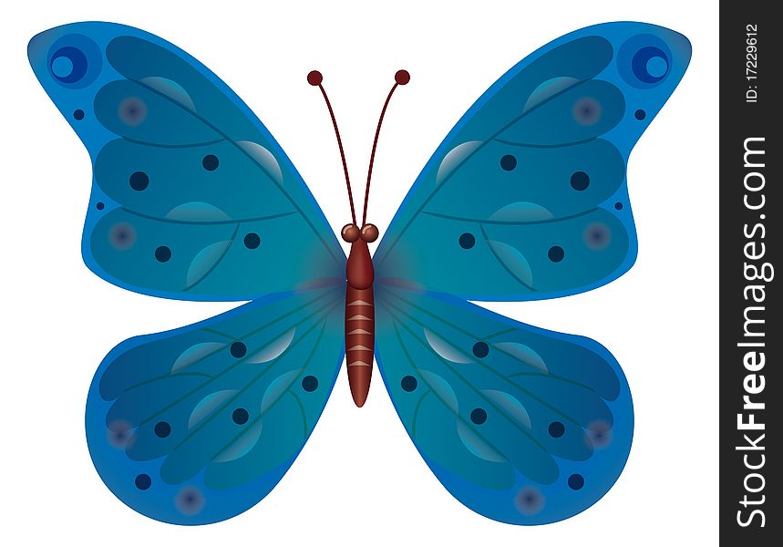 A blue butterfly isolated