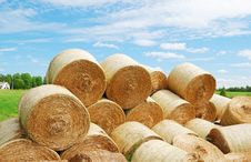 Heap Of Straw Bales In Summer Field Stock Photo Heap Of Straw Bales In Summer Field Stock Photo