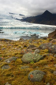 Flora Under Melting Glacier Stock Photo Flora Under Melting Glacier Stock Photo