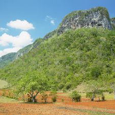 Vinales Valley Stock Photo Vinales Valley Stock Photo