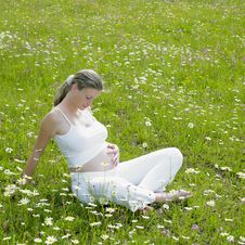 Pregnant Woman Stock Image Pregnant Woman Stock Image