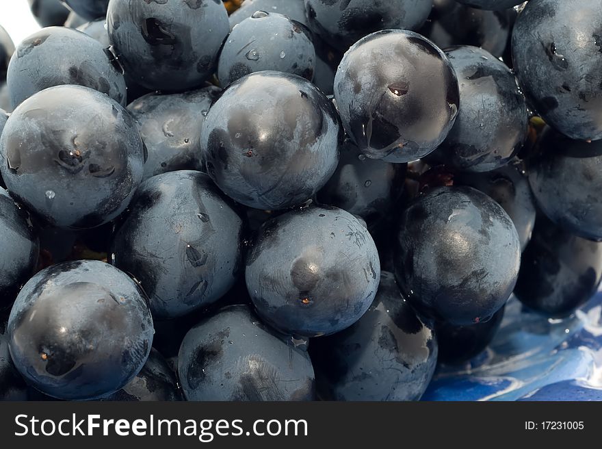 Bunch of ripe black grapes on a plate on a white background closeup