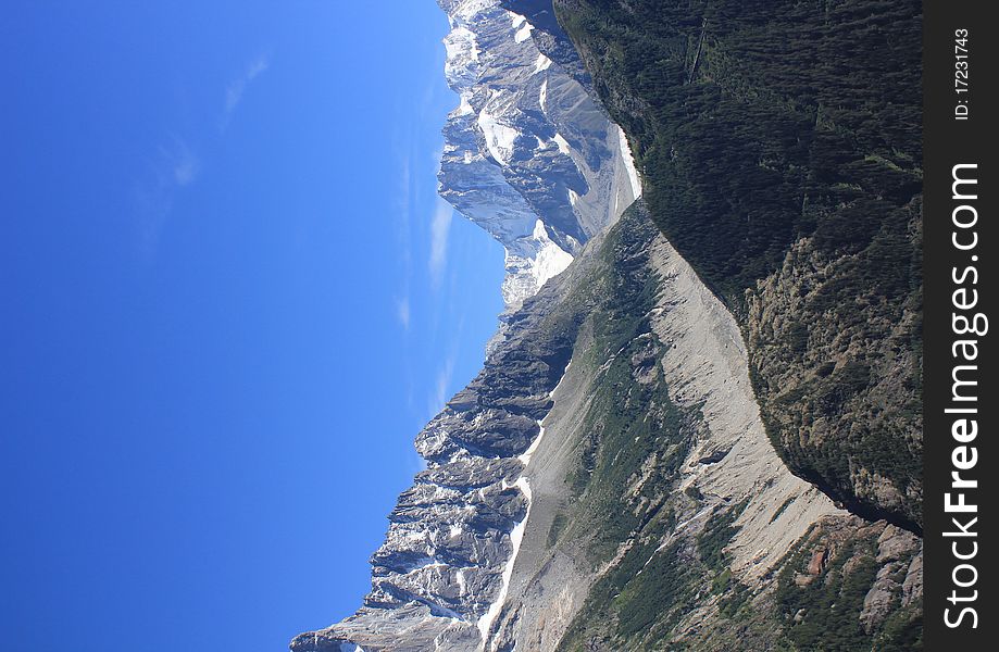 Mont-Blanc and mountain and trees