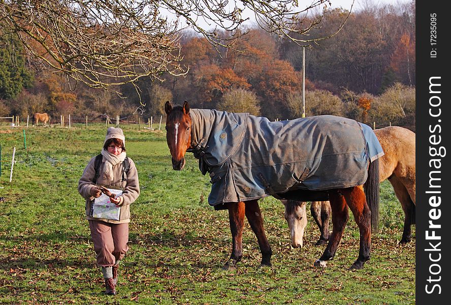 Female Hiking through a field with horses