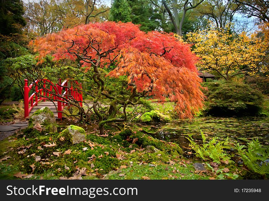 Japanese park by seasonal autumn time. Japanese park by seasonal autumn time