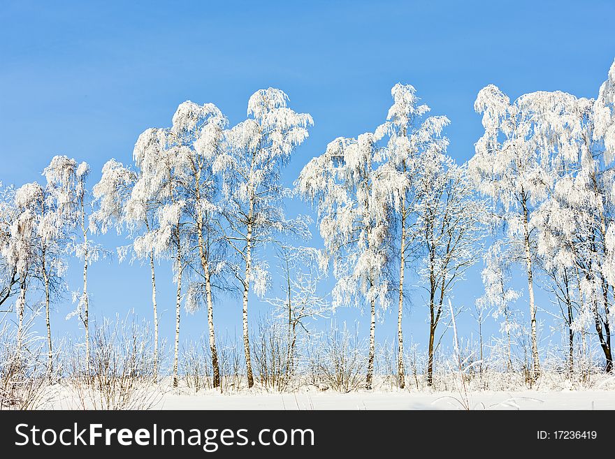 Winter landscape in Czech Republic