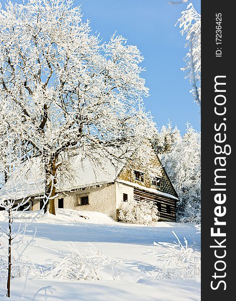 Cottage in winter in Jeseniky, Czech Republic