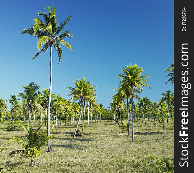 Granma National Park, Cuba