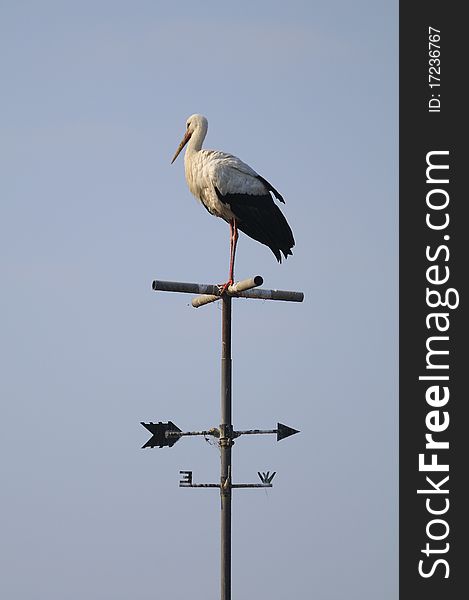 A stork sitting on a flag weathervane