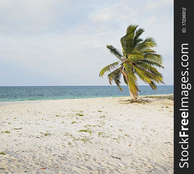 Beach Of Cayo Sabinal