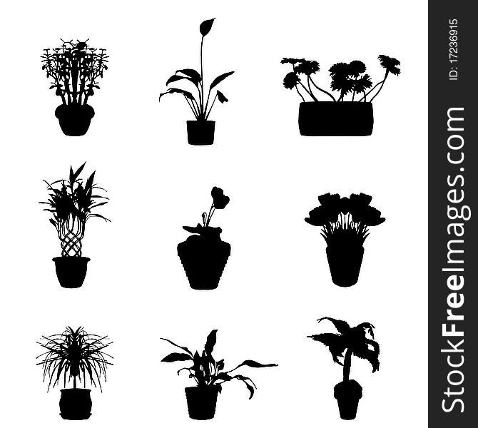 vector set of black flower. vector set of black flower