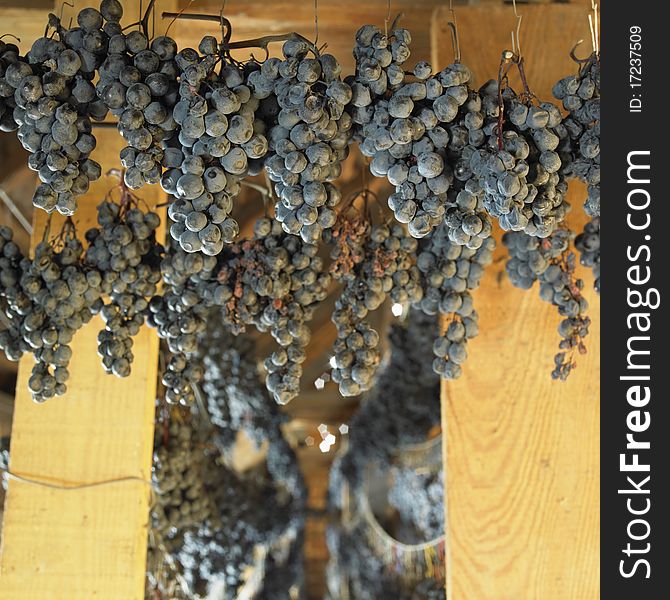 Grapes drying for straw wine. Grapes drying for straw wine