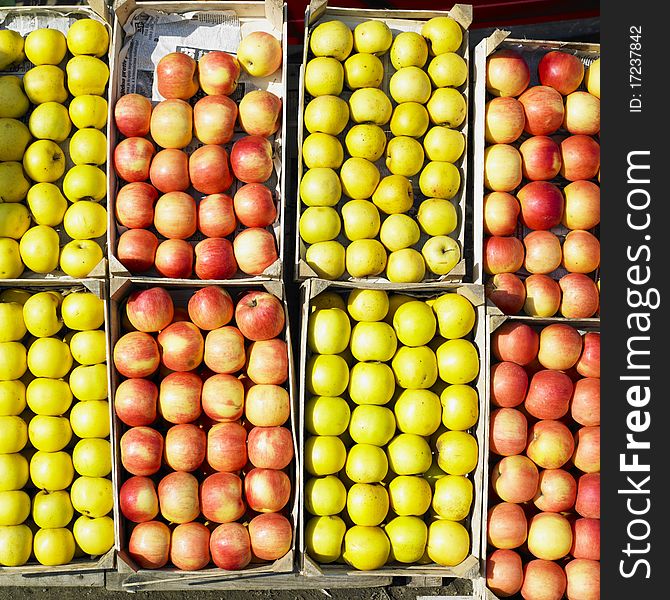 Still life of the apples