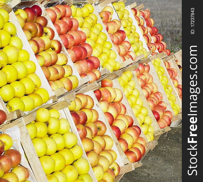 Still life of red and yellow apples